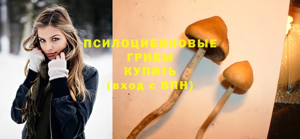 метадон Богородицк
