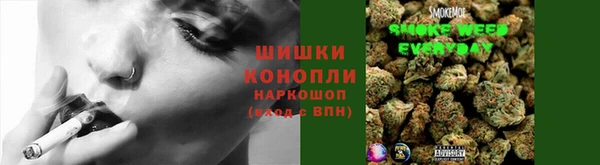 mix Бородино