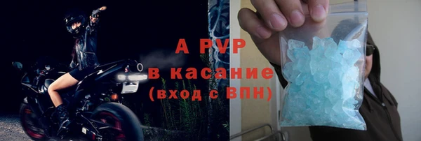 стафф Богданович