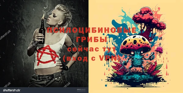 стафф Богданович