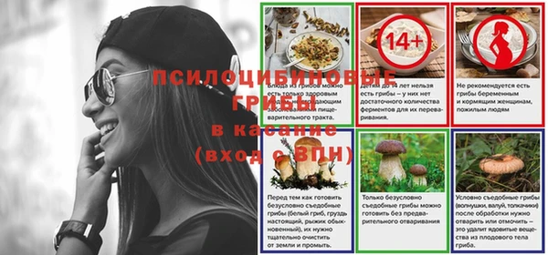 прущие грибы Богородск