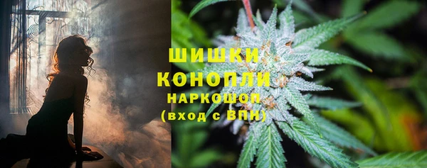 mix Бородино