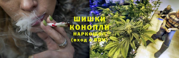 эйфоретик Надым